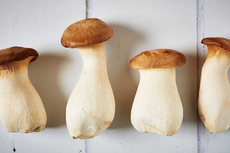 King Oyster Mushrooms