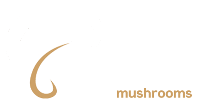 Exotic Mushroom